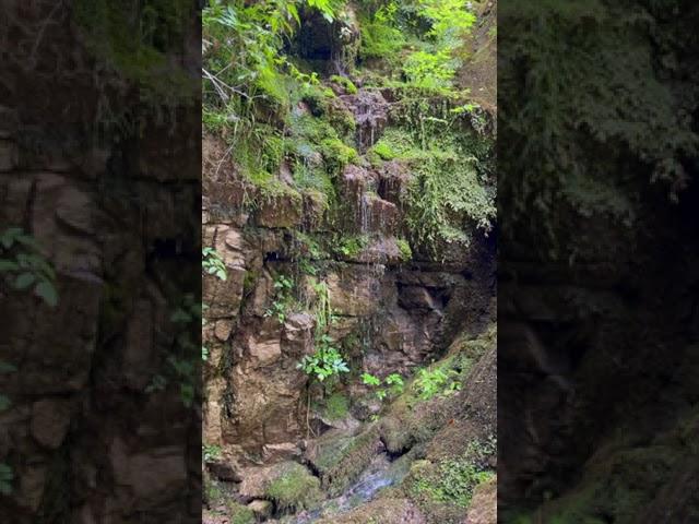 Varvara Waterfalls Greece #shorts #nature #greece #waterfall