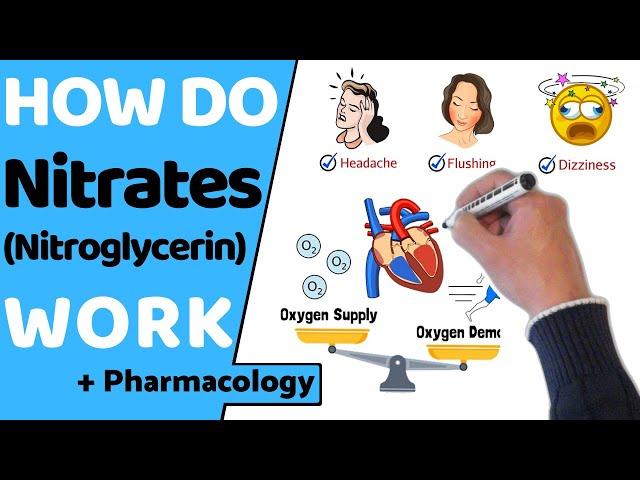 How Do Nitrates Work? (Nitroglycerin)