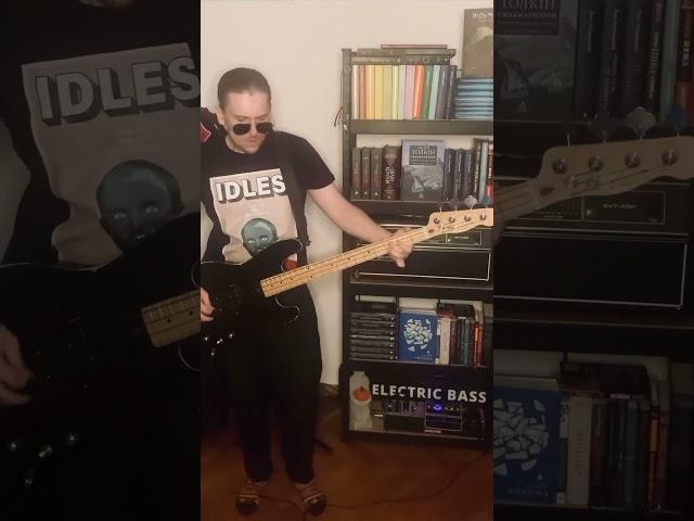 Viagra Boys - Ain’t Nice(Bass Cover) #bass #basscover #fender #fenderbass #precisionbass #bassline