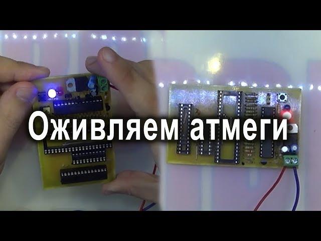 How to unlock Atmega8 with Fusebit doctor