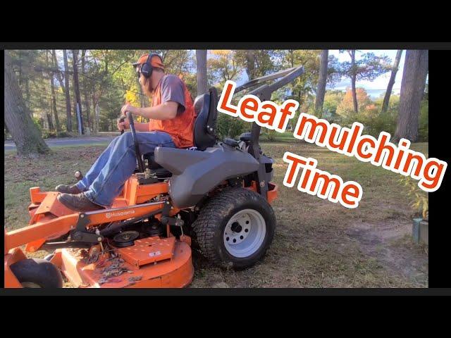 October leaf & grasscutting big yard clean up mulching them up