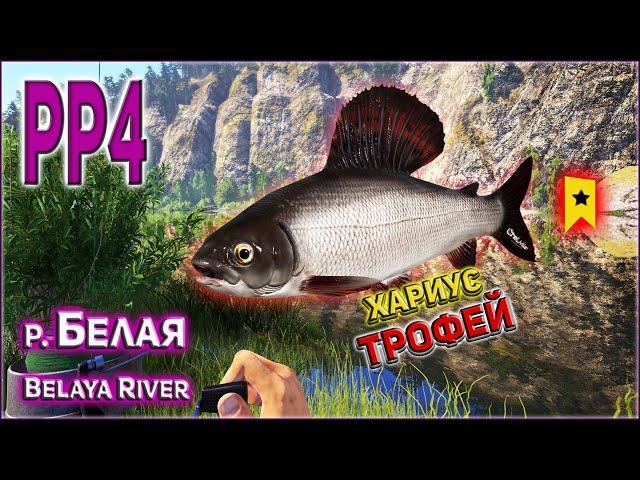 РР4 РЕКА БЕЛАЯ ТРОФЕЙНЫЙ ХАРИУС / ПРИШЁЛ КРАСАВЕЦ