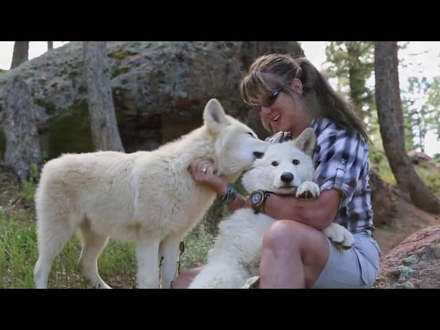 COLORADO WOLF AND WILDLIFE CENTER 30