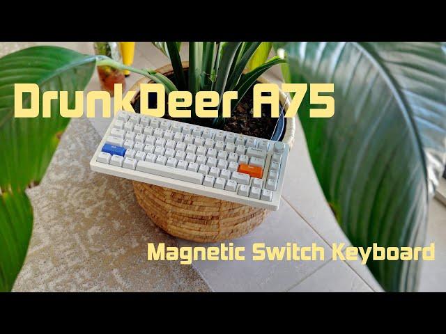 Magnetic Switch Keyboard | THE RIGHT SWITCH?