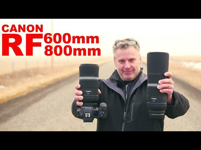 Canon 600mm & 800mm f11 lens review with Canon R5!