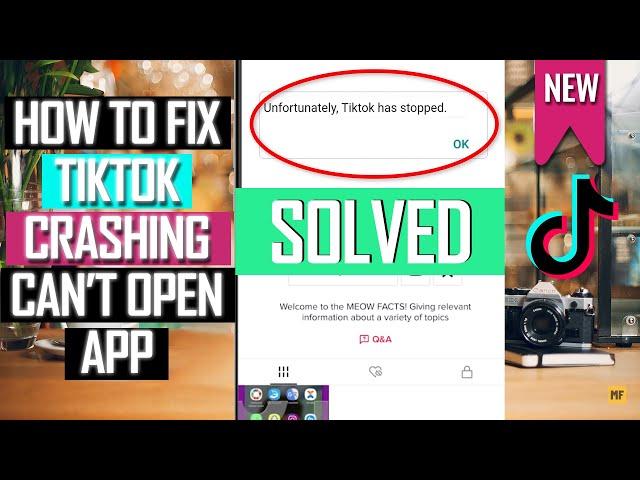 How to Fix Unfortunately TikTok Has Stopped Working | TikTok Crashing Can't Open App Fix