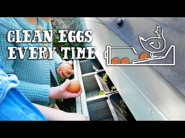 THE EGG DRAWER - Building Roll Away Nest Boxes