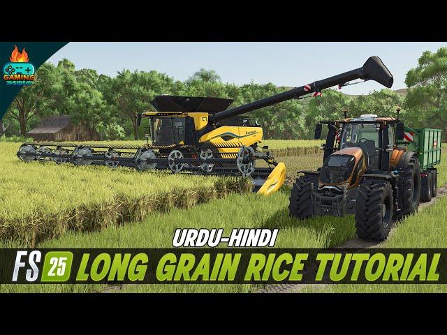 How to Plant & Harvest Long Grain Rice in Farming Simulator 25