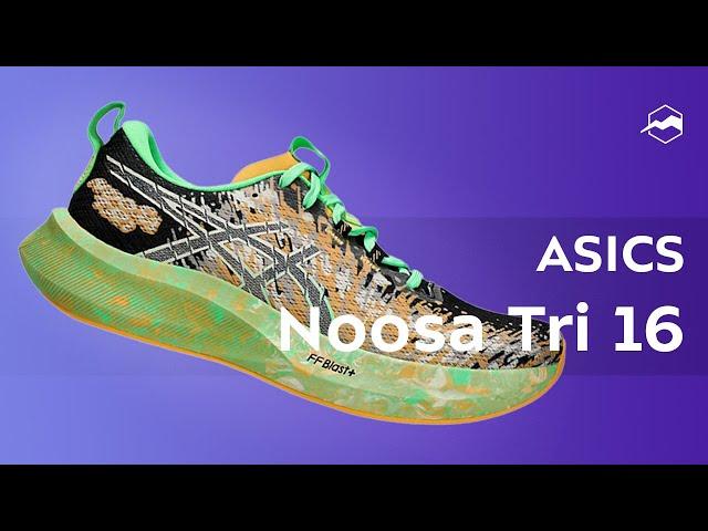 Кроссовки ASICS Noosa Tri 16. Обзор