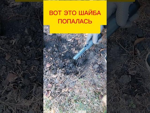 Интересный коп#монеты#коп#находки#металлоискатель#coins#metaldetecting #