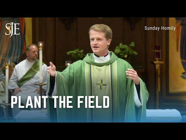 Sunday Homily | Plant the Field | Fr. Declan McNicholas