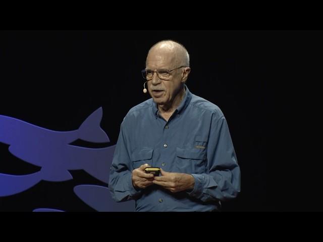 What you didn't know about bats | Merlin Tuttle | TEDxUTAustin