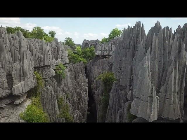 UNBELIEVABLE MUST SEE STONE FOREST  OF MADAGASCAR