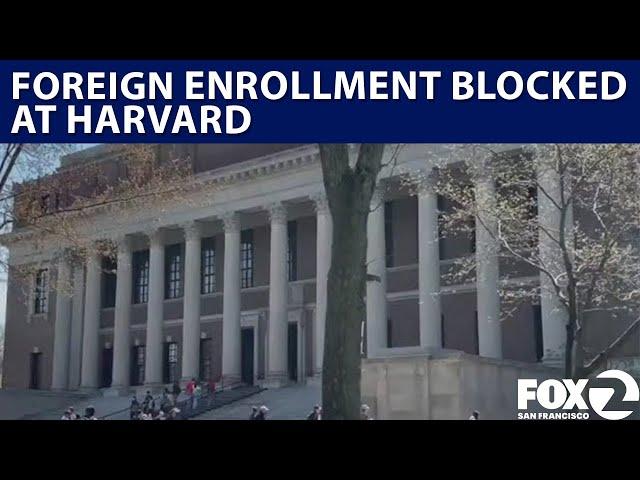Harvard blocked from enrolling international students | KTVU