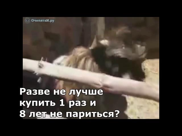 Обычный разговор консольщика и пекаря