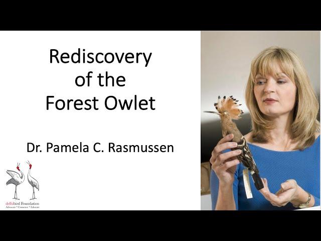 Delhibird Talks: Rediscovery of the Forest Owlet (Pamela C. Rasmussen)