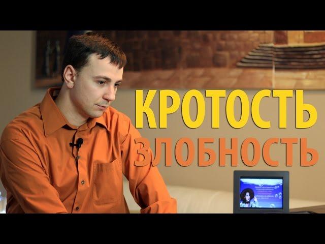 Секрет Успеха  2. Кротость – злобность (Матфея 11:29-30)