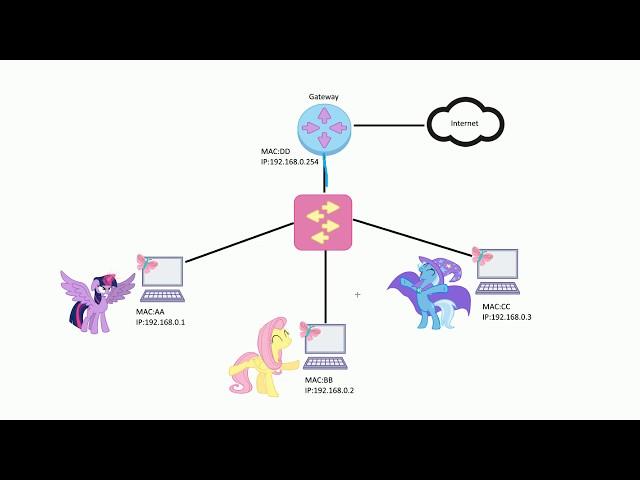 IP vs MAC Address