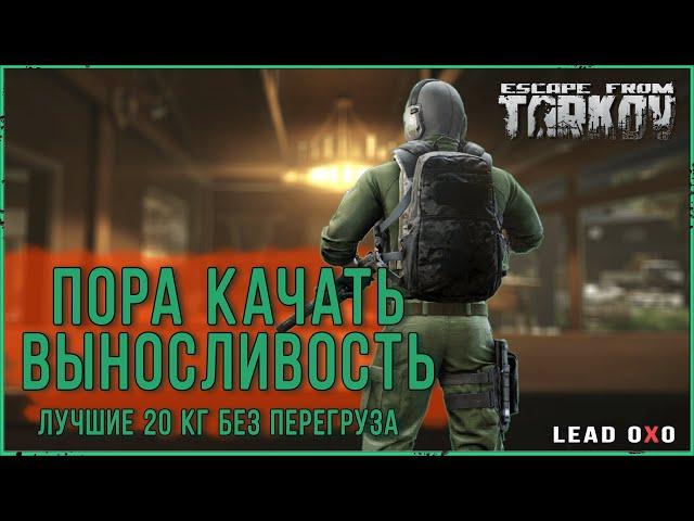 Твои лучшие 20 кг без перегруза в Escape from Tarkov | Тарков гайд.