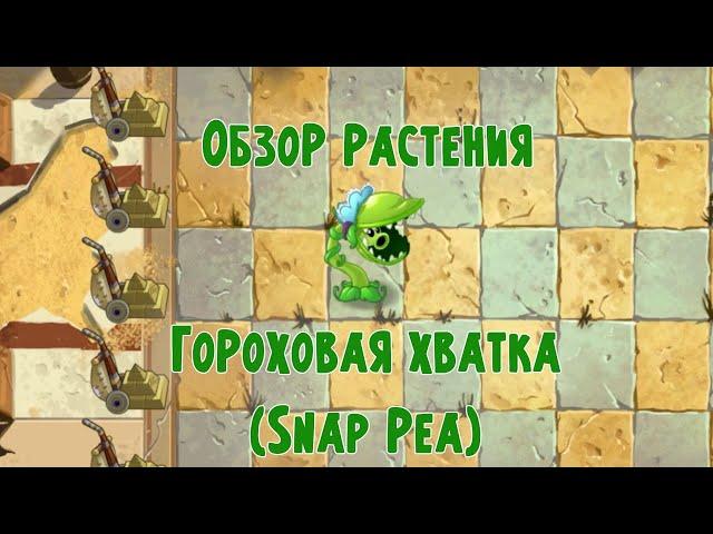 Обзор Гороховой хватки (Snap Pea), растение из Plants vs Zombies 2