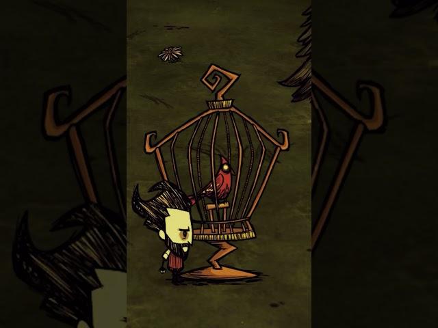 DST: ПОЯСНЯЮ ЗА МИРНЫХ ПТИЦ! #dontstarve