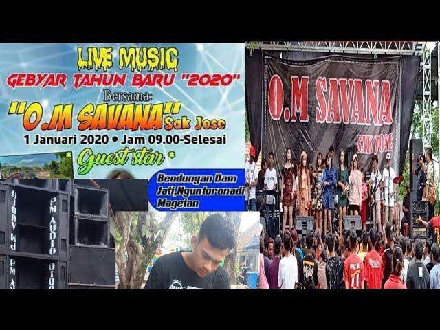 FULL ALBUM OM SAVANA SAK JOSE | LIVE WISATA DAM JATI NGUNTORONADI MAGETAN | PM MUSIK AUDIO