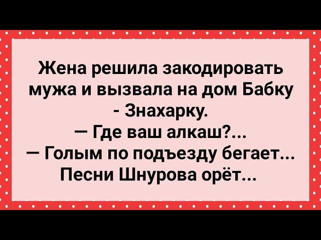 Муж Голым по Подъезду Бегает! Сборник Свежих Анекдотов! Юмор!