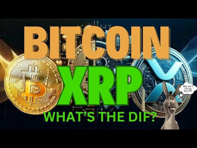 BITCOIN VS XRP The Battle for CRYPTO Supremacy