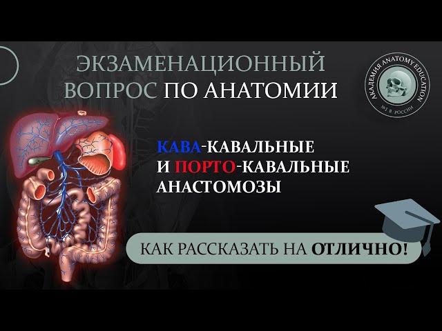 Кава-кавальные и порто-кавальные анастомозы. Практическое значение