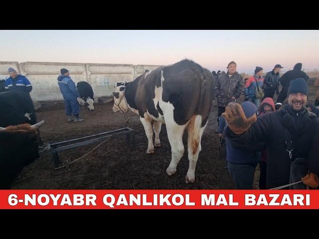 6-НОЯБРЬ/КАНЛЫКОЛ МАЛ БАЗАРЫ/СКОТНЫЙ РЫНОК/BUQALAR/BIG BULLS IN THE WORLD/BIG COW