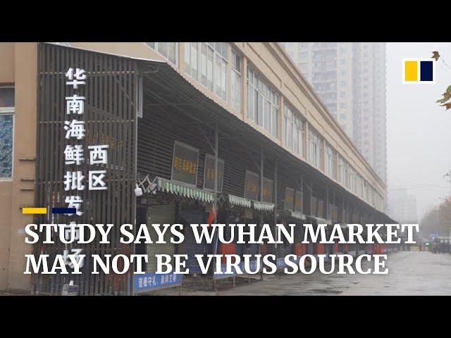 Deadly coronavirus may not have originated in Wuhan seafood market, Chinese scientists say