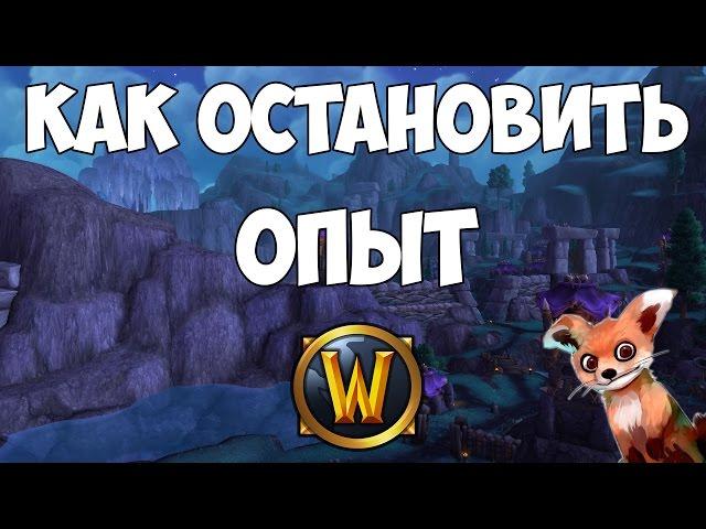 Как остановить полоску опыта в WoW?