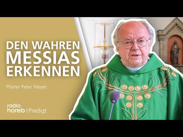 Den wahren Messias erkennen | Predigt von Pfarrer Peter Meyer