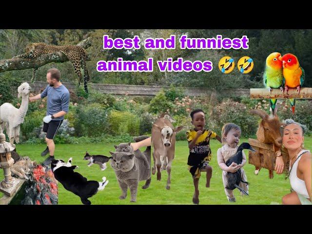 Funniest Pets Fails!  Best Compilation 2024