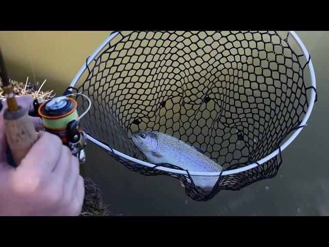 Fishing Wizards на рыбалке в X Land