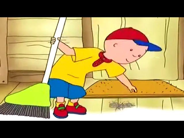 Caillou ve Ev İşi | Caillou Türkçe - WildBrain