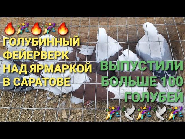 Голубинный фейерверк над ярмаркой в Саратове! Выпустили больше 100 голубей! Bird Market. 鸽子.