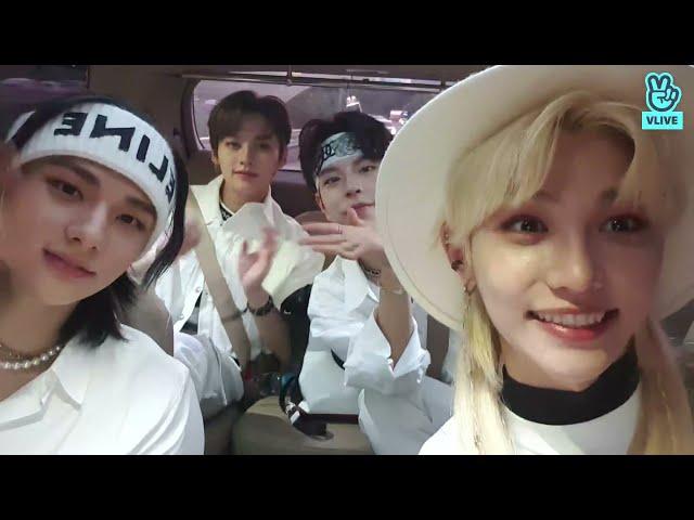 Stray Kids VLive | 210903 | First 1st Place At Music Bank! Thanks Stay (Eng Sub)