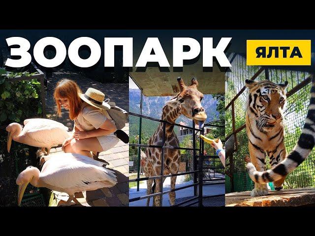 ЯЛТИНСКИЙ ЗООПАРК  |  ЗООПАРК СКАЗКА В ЯЛТЕ  |  ЯЛТА 2020