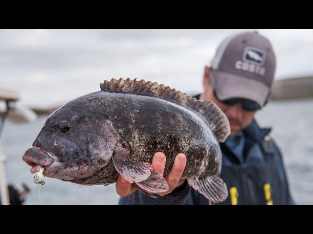 The Benefits of Spinning Tackle for Tautog Fishing