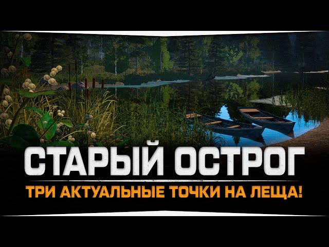 Где Лещ ? • Озеро Старый Острог • Русская Рыбалка 4