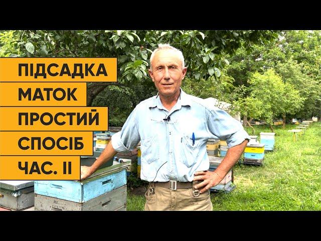 Метод підсадки бджоломаток від Єгошина частина ІІ