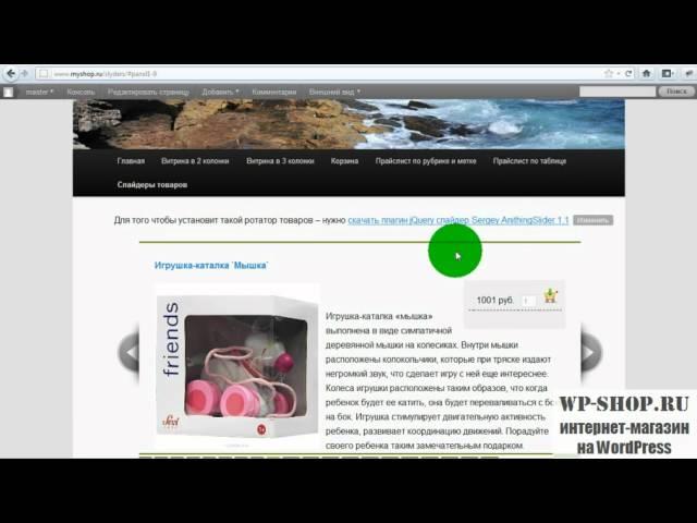 Создание интернет магазина на WordPress