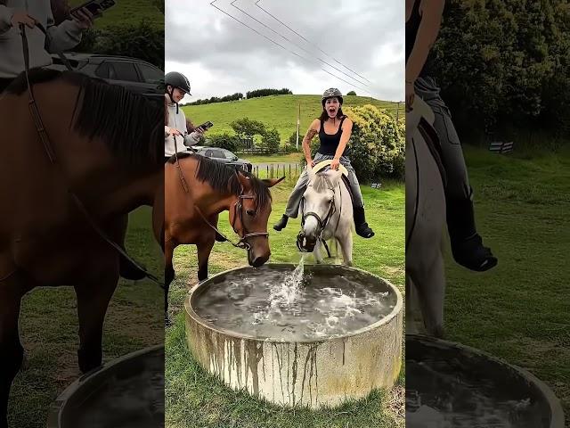 Horses like water #funny #horse #fyp #cute #youtube #Love #funnyanimals #core #funnyhorse