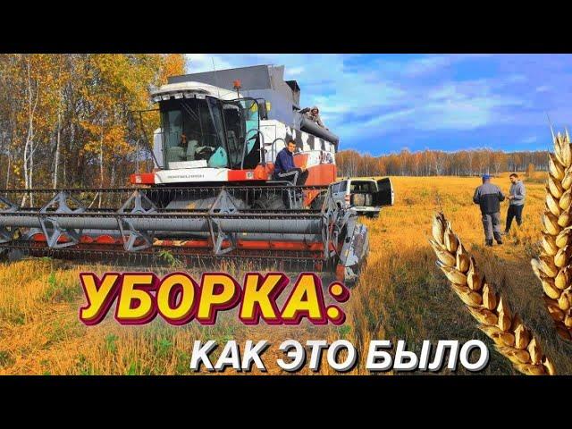 Уборка зерновых культур 2023. Комбайн Акросс 530. Работа ОВС-25.