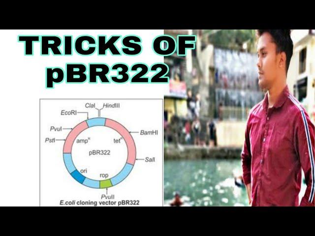 TRICKS OF pBR322 / BIOTECHNOLOGY TRICKS /NEET 2020 /NCERT