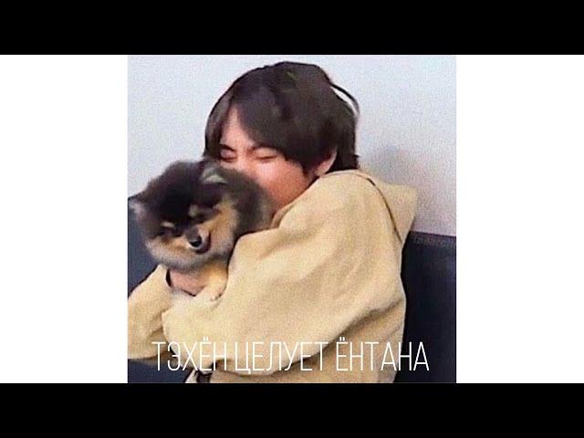 V’S DOG.CUTE MOMENTS WITH BTS.СОБАКА ВИ ,МИЛЫЕ МОМЕНТЫ С ТРАНСЛЯЦИИ