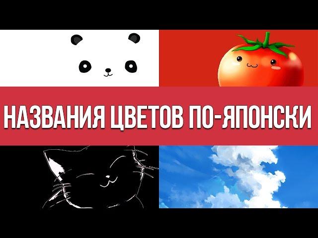 Названия цветов по японски || Японский для начинающих || Дарья Мойнич