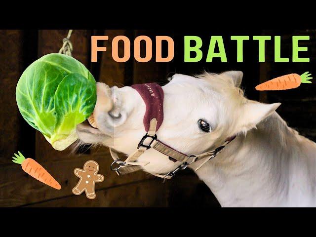 HORSE FOOD EATING COMPETITION 2024