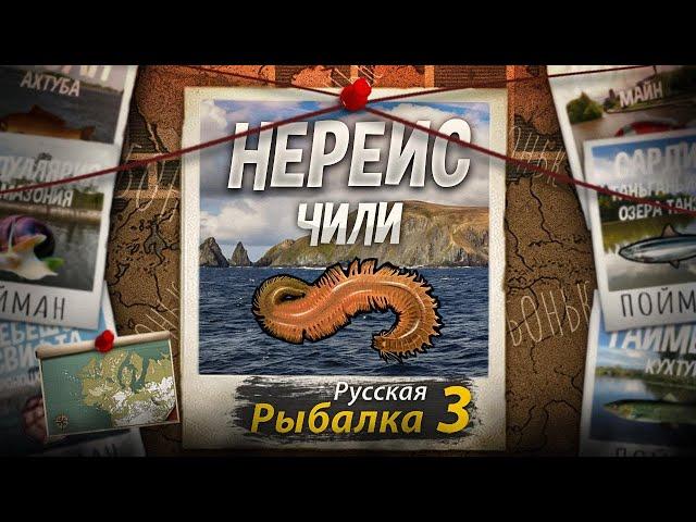 "Мутант" Нереис. Морской Червь. Побережье Чили. Русская Рыбалка 3.